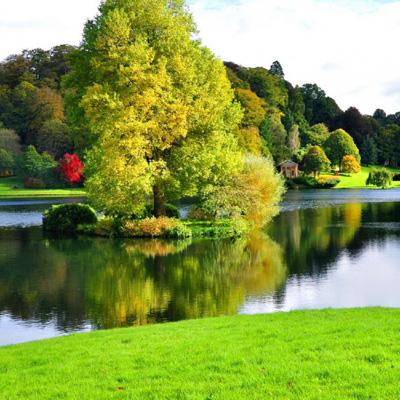 乐发app最新版下载