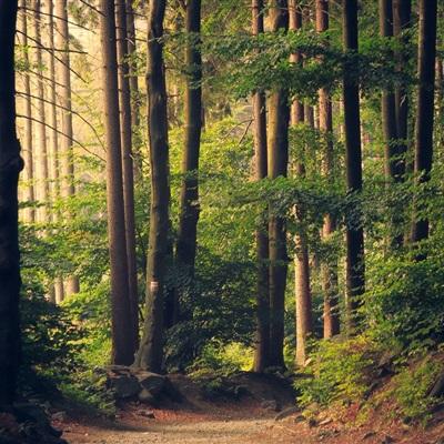 威尼斯欢乐娱人棋牌app下载