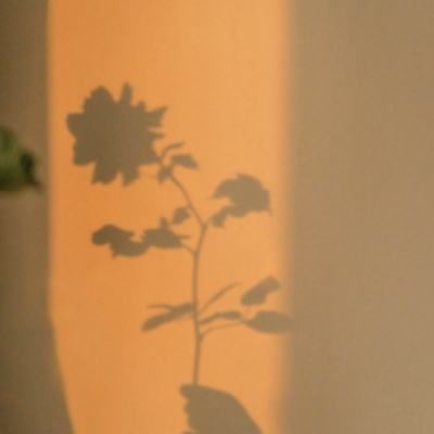 户员可以补办户口吗