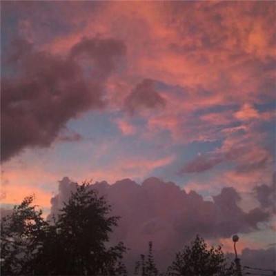 BOB·体育APP下载