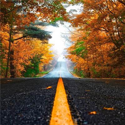 bb平台体育下载截图