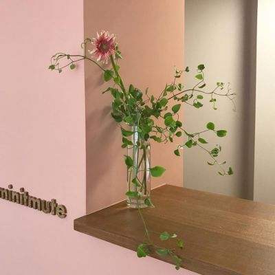 ag真人国际官网app下载