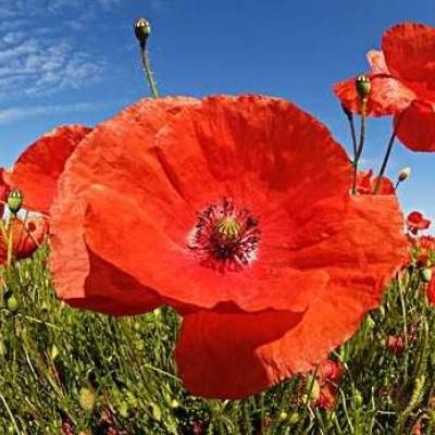 乐发app最新版下载截图