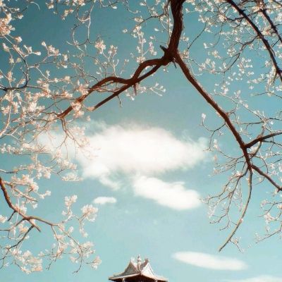 KOKapp手机app下载