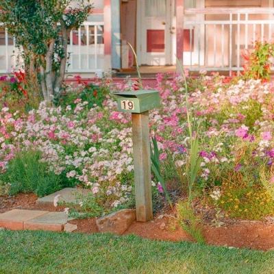 KOKapp手机app下载